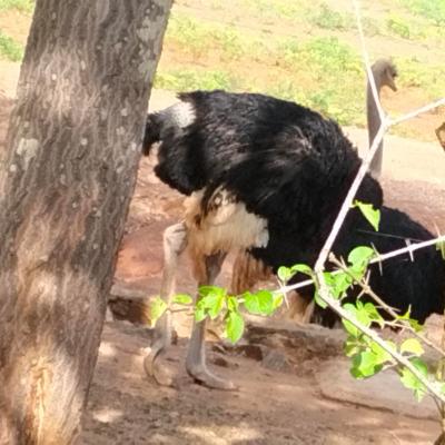 Whatsapp Image 2023 02 11 At 01.00.09