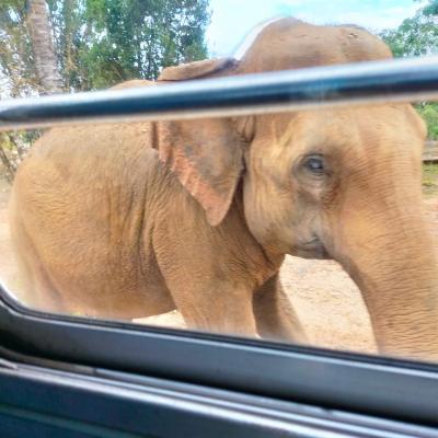 Whatsapp Image 2023 02 11 At 01.00.10